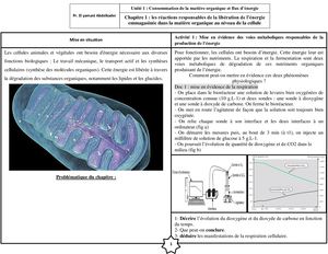 Activités Chapitre 1 Les Réactions Responsables De La Libération De L éNergie Emmagasinée Dans La Matière Organique Au Niveau De La Cellule