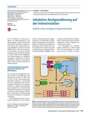 04 Inhalative Analgosedierung Auf Der Intensivstation