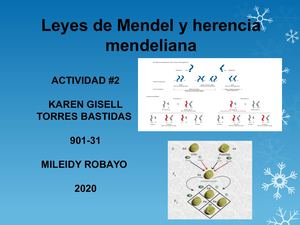901 31 Actividad #2leyes De Mendel