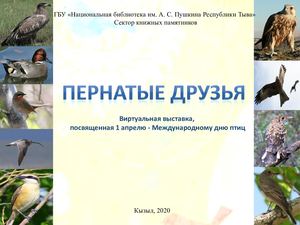 Пернатые друзья