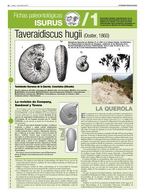 Fichas Ciudad 1 A 43