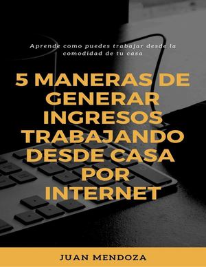 Ebook 5 Maneras De Ganar Dinero Trabajando Desde Casa Por Internet