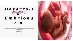Desarrollo Embrionario Biologia Ii