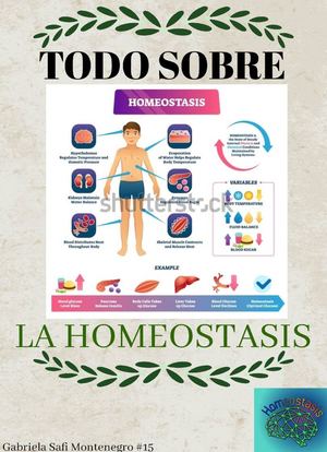 Todosobrelahomeostasis Original (1)
