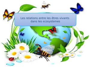 Les Relations dans les écosystèmes