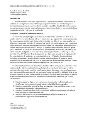 Nia 530 Riesgos De Auditoria Y Técnicas De Muestreo