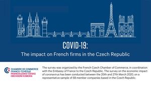 The Impact Of Coronavirus On The Activity Of Companies in The Czech Republic - March 2020