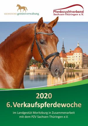 Katalog Verkaufspferdewoche 2020