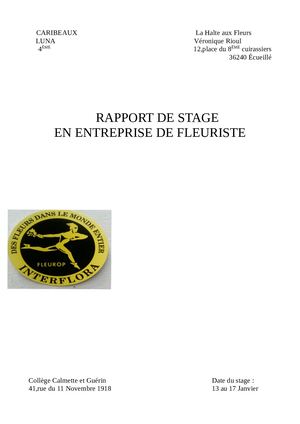 Rapport De Stage Luna Caribeaux