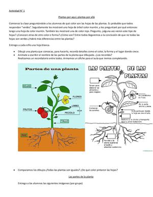 Plantas Por Aquí, Plantas Por Allá