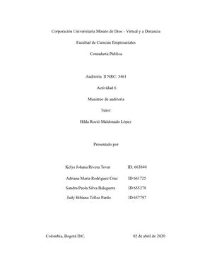 Nia 530 Muestreo De Auditoria