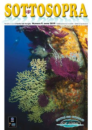 Sottosopra N9