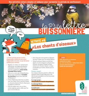 La Ptite Lettre Buissonnière 09 Les Chants Oiseaux