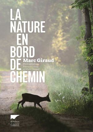 2_La Nature En Bord De Chemin