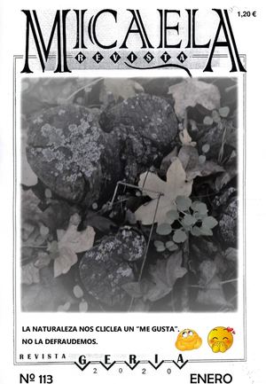 Revista Micaela Enero