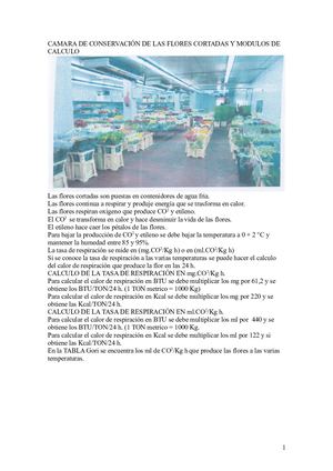 Camara De Conservación De Las Flores Cortadas Con Tablas