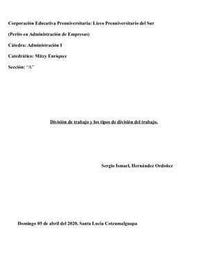 División De Trabajo y tipos de división del trabajo.