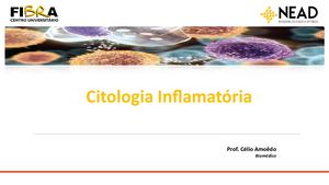 Citologia Inflamatoria Critérios Aula 3 Nead 2020