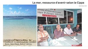 Réunions Publiques Cippa