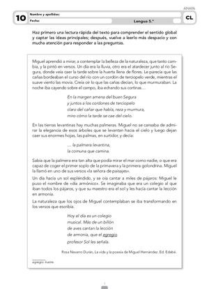 Soluc Fichas Ref Amp De Len Mat Y CCNN