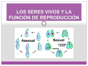 Reproducción De Los Seres Vivos Con Actividades (2)