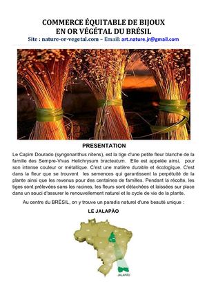 Catalogue Bijoux Haut De Gamme Nature Or Végétal