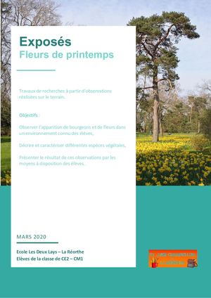 Exposés sur les fleurs de Printemps