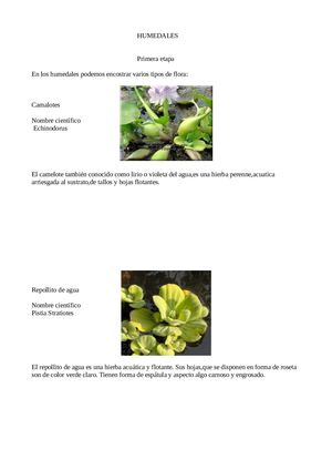 FICHA DE BIOLOGIA