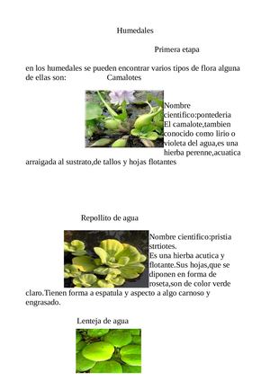 Ficha de biologia