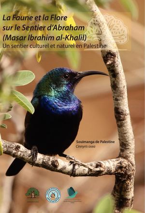 Faune Et Flore du Sentier d'Abraham
