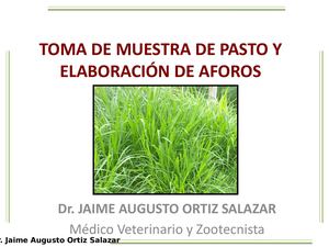 Aforo De Pasto y Capacidad de Carga