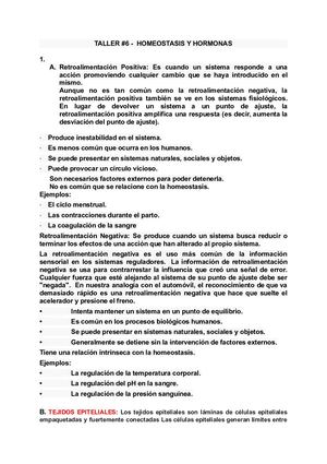 Taller Biología - Homeostasis y Hormonas