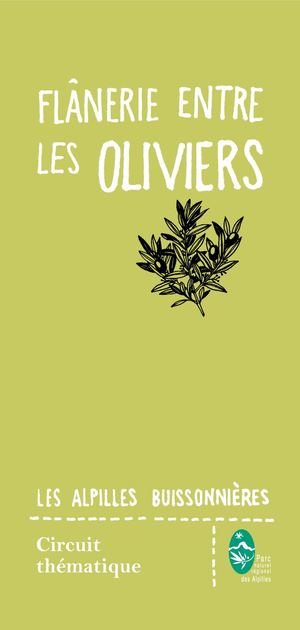 Flânerie Entre Les Oliviers