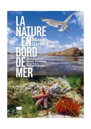 Extrait En Bord De Mer