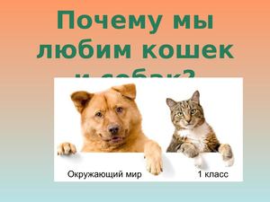 Почему мы любим кошек и собак