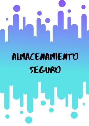 Cartilla Almacenamiento Seguro