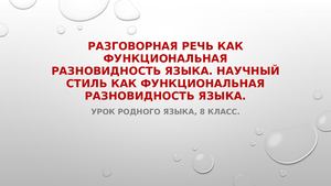 Разговорная речь как функциональная разновидность языка