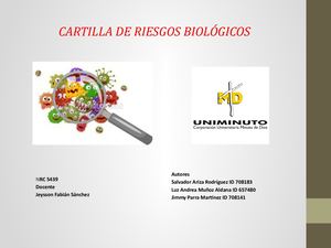 Cartilla De Riesgos Biologicos Peluqueria