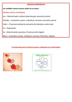 Modelo análisis morfológico (repaso)