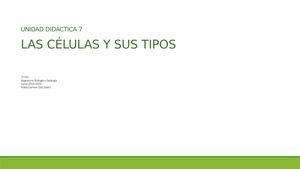 Biología Y Geología 1 Eso Las Células Y Sus Tipos
