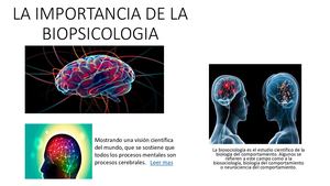 Revista La Importancia De La Biopsicologia Convertido