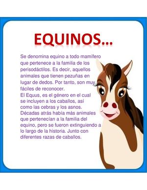 Equinos Gbi