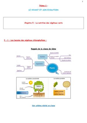 Chap5 Nutrition Des Végétaux Totalité Du Cours