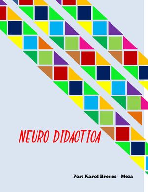 Neuro Didactica