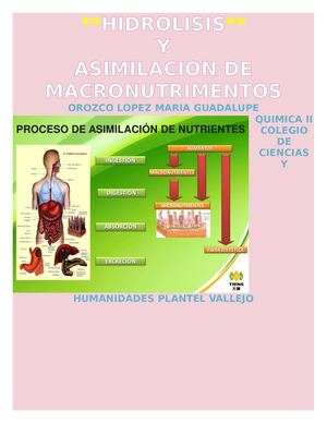 Hidrólisis Y Asimilación De Macronutrimentos Cuadernia