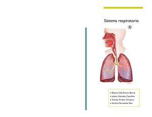 Sistema+respiratorio+final