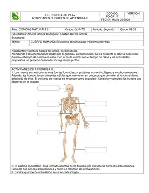 Taller Ciencias Grado 5 Periodo 2