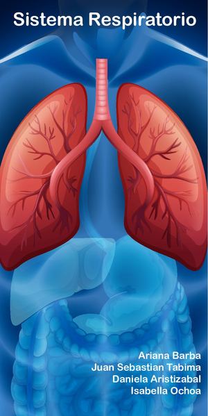 Sistema Respiratorio