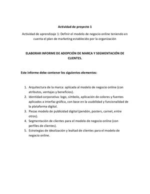 Informe “Adopcion De Marca Y Segmentacion De Clientes 1