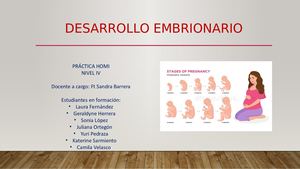 Desarrollo Embrionario